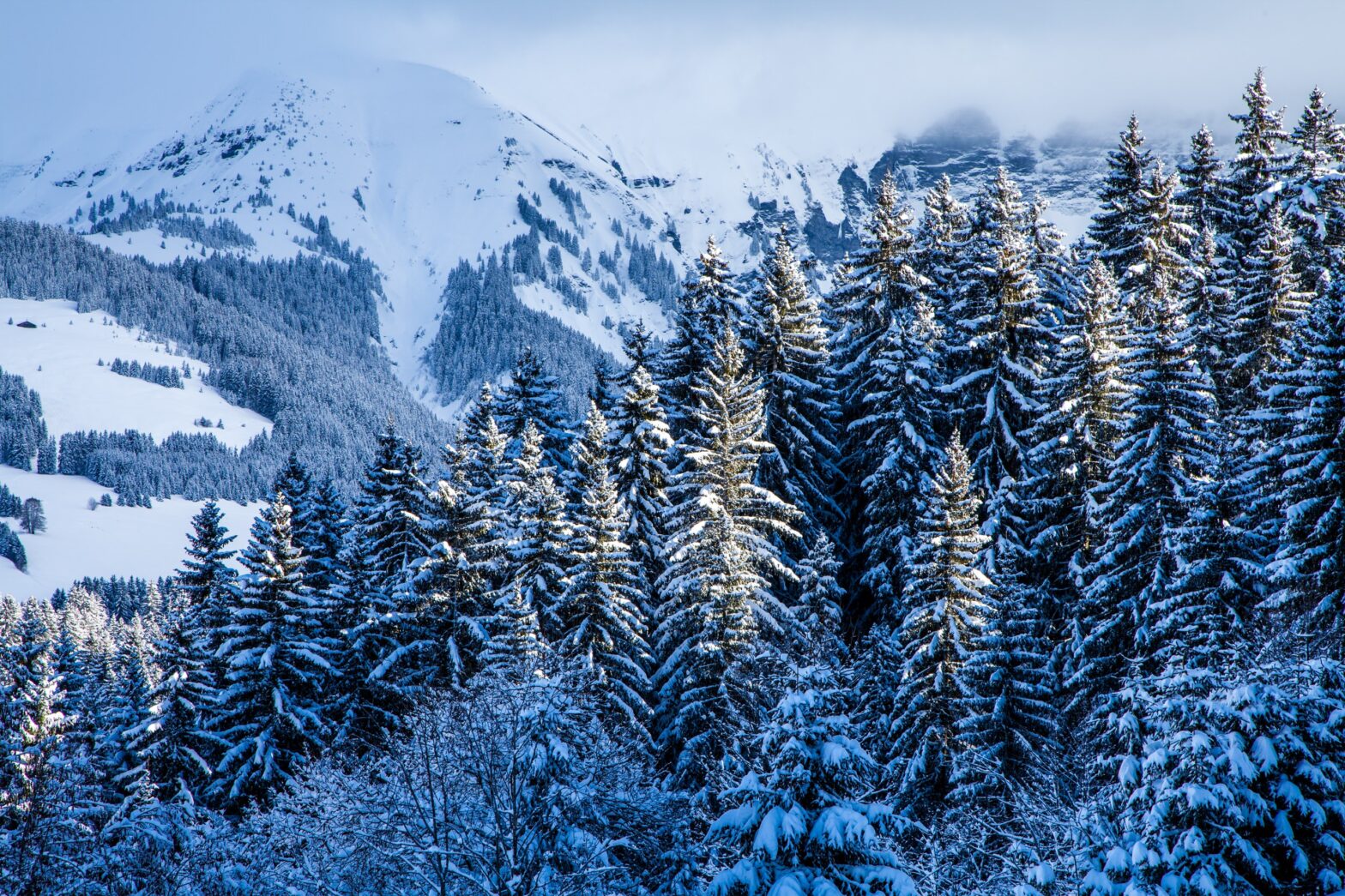 Montagne enneigée, pour un événement d'entreprise en hiver